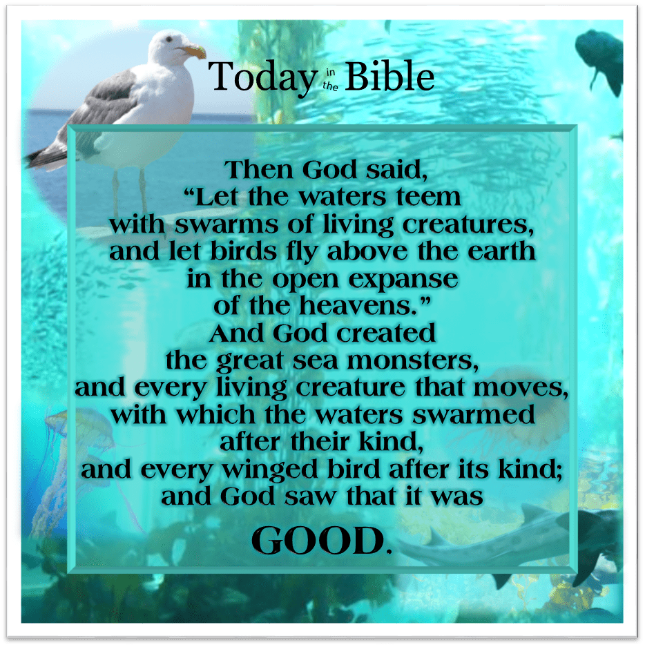 Elul 29 – Let the Waters Teem with Living Creatures and Let Birds Fly in the Expanse of the&nbsp;Heavens…