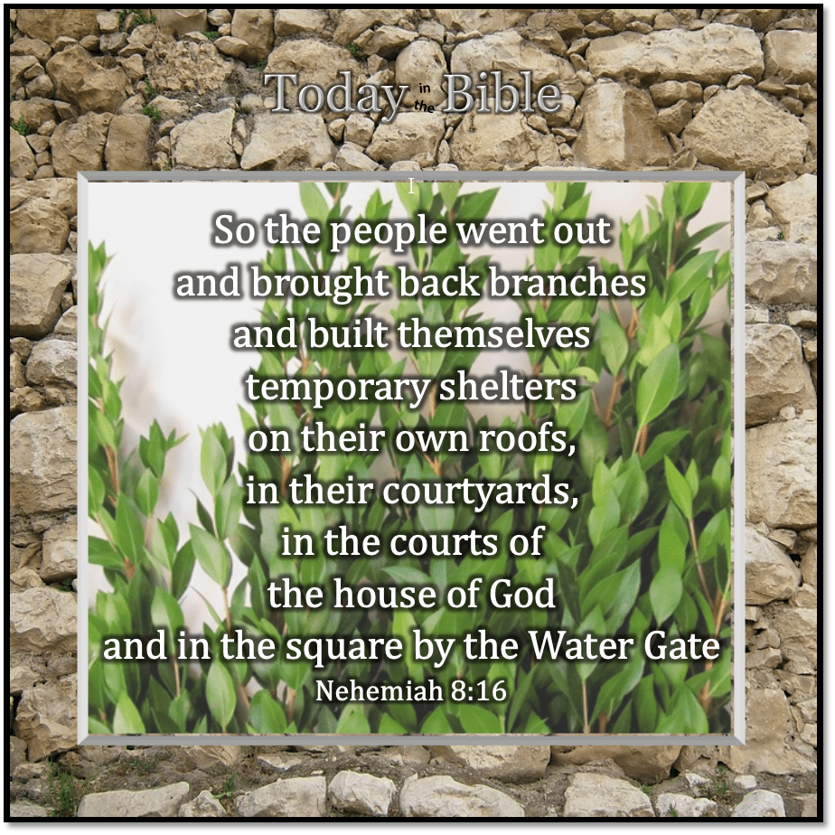 Tishrei 11 – Go out into the Hill Country and Bring Back&nbsp;Branches…