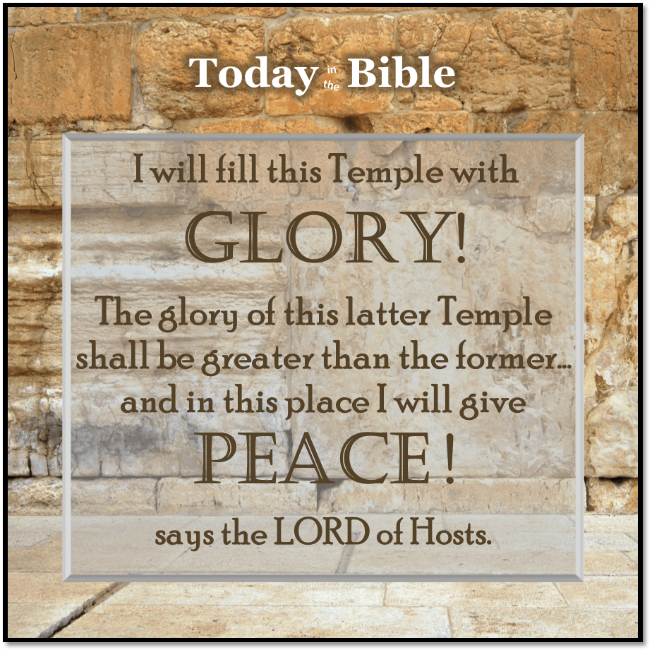 Tishrei 21 – I will fill this Temple with&nbsp;glory…