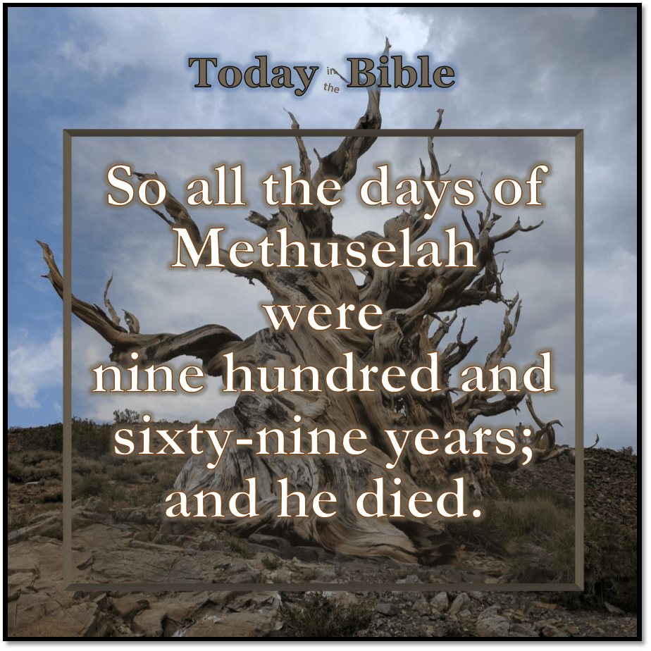Cheshvan 11 –&nbsp;Methuselah…