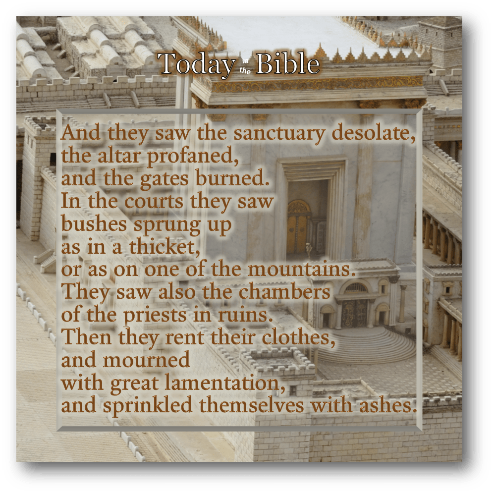 Cheshvan 23 – And They Saw the Sanctuary Desolate, the Altar Profaned, and the Gates&nbsp;Burned…