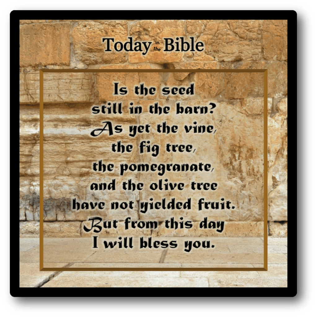 Kislev 24 – From this day I will bless&nbsp;you…
