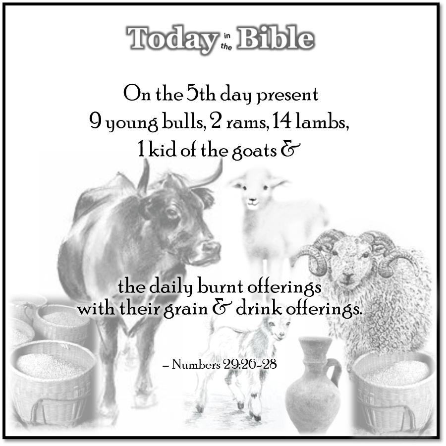 Tishrei 19 – Sukkot, Day 5 – The&nbsp;Offerings