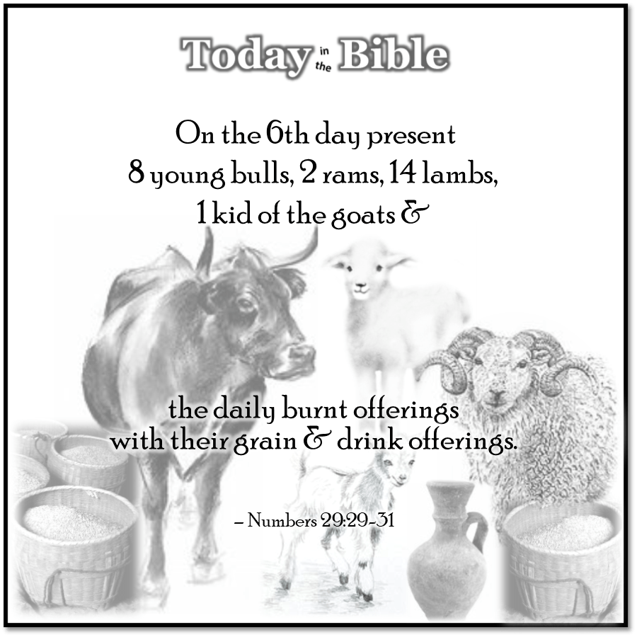 Tishrei 20 – Sukkot, Day 6 – The&nbsp;Offerings