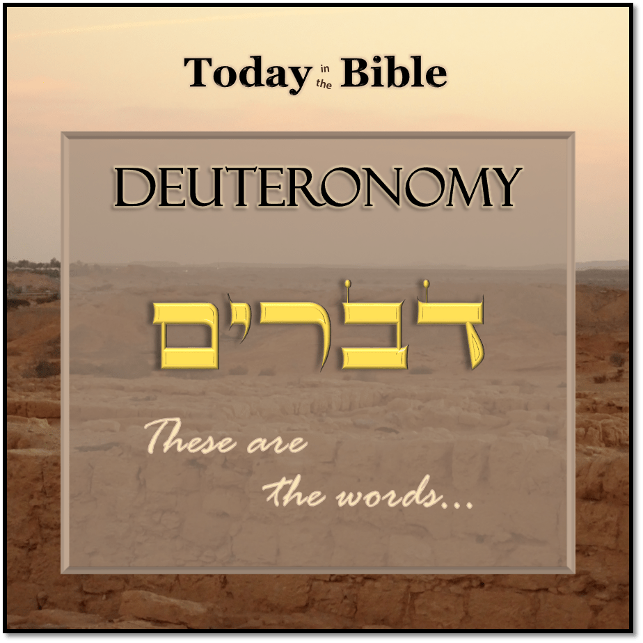 Shevat 1 – These are the&nbsp;Words…