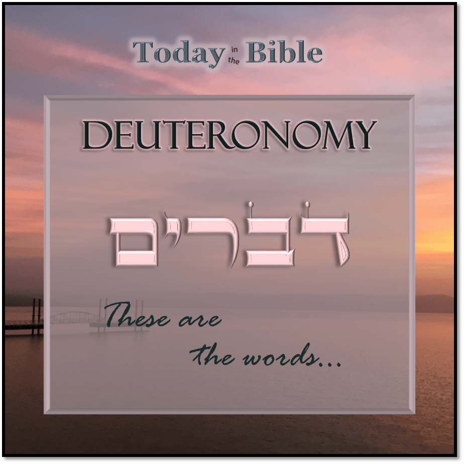 Shevat 5 – When you are in distress, when you turn to the LORD, He will not forsake&nbsp;you…