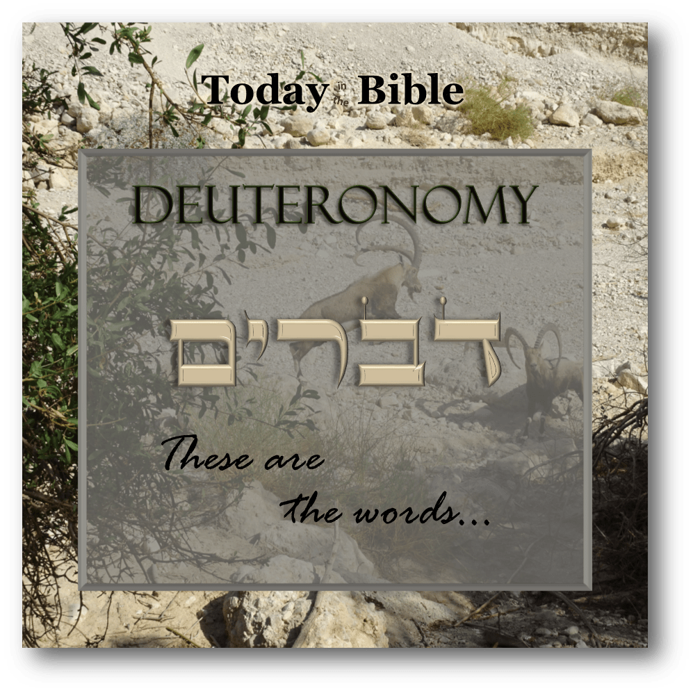 Adar I 3 – When you go out to battle against your&nbsp;enemies…