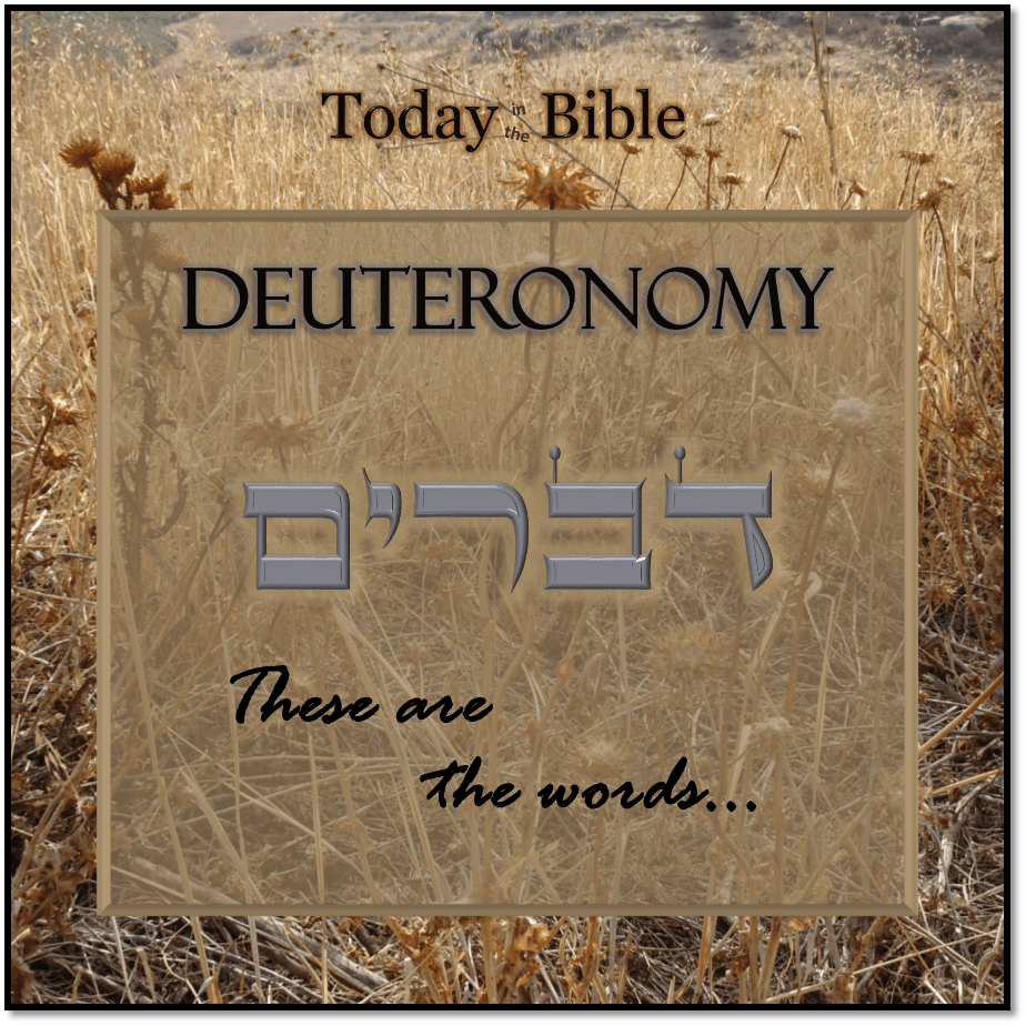 Shevat 22 – …by their word every controversy and every assault shall be&nbsp;settled…