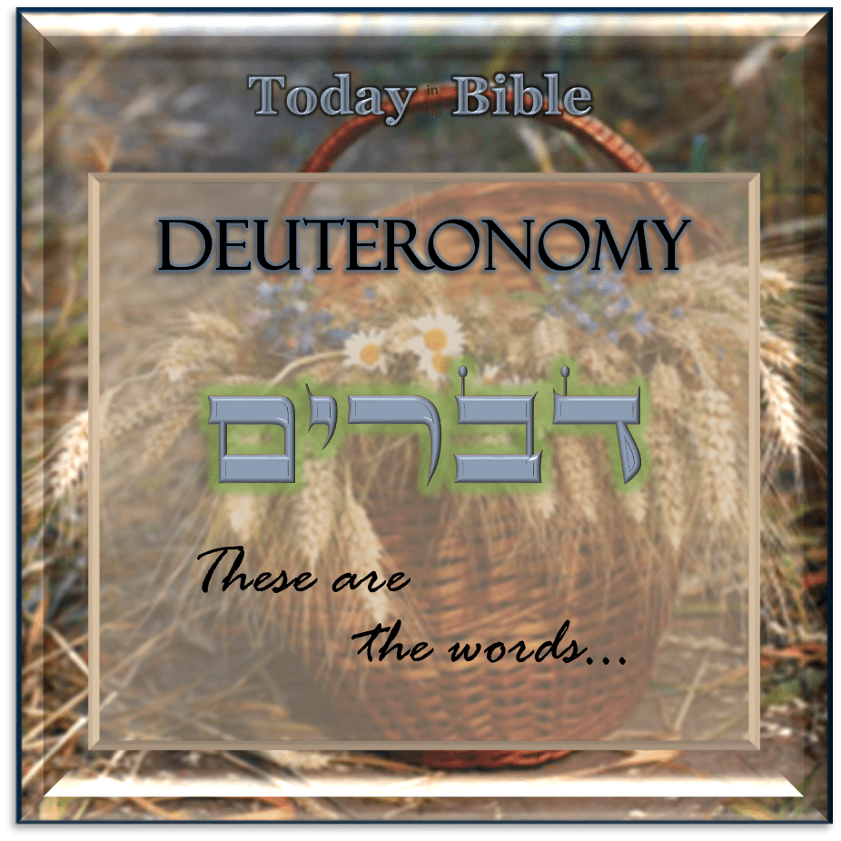 Shevat 27 – You shall take some of the first of the produce of the&nbsp;ground…