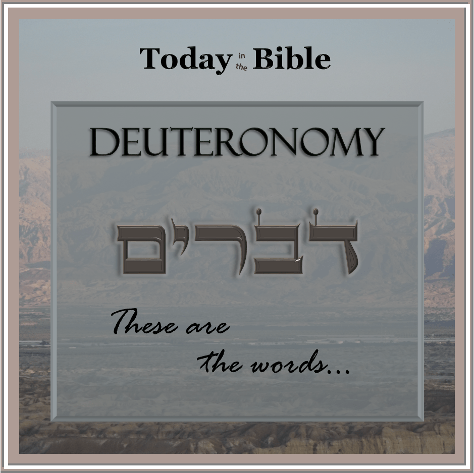 Shevat 3 – You did not go where the LORD had forbidden&nbsp;you…