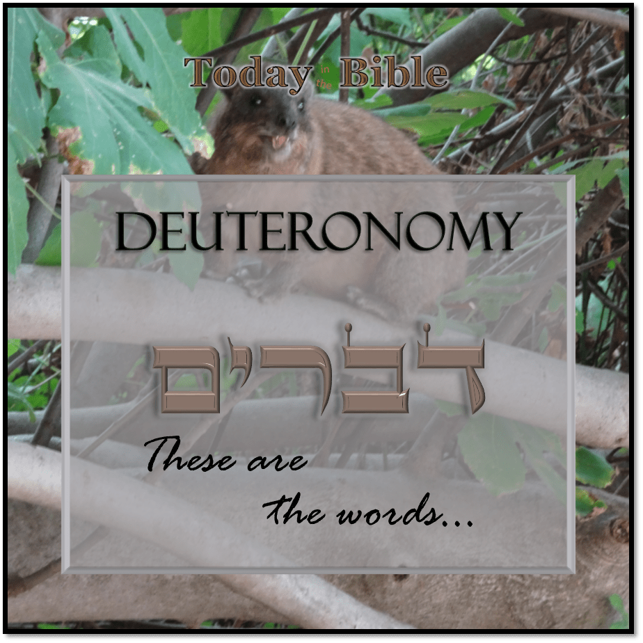 Shevat 21 – You shall not eat any detestable&nbsp;thing…