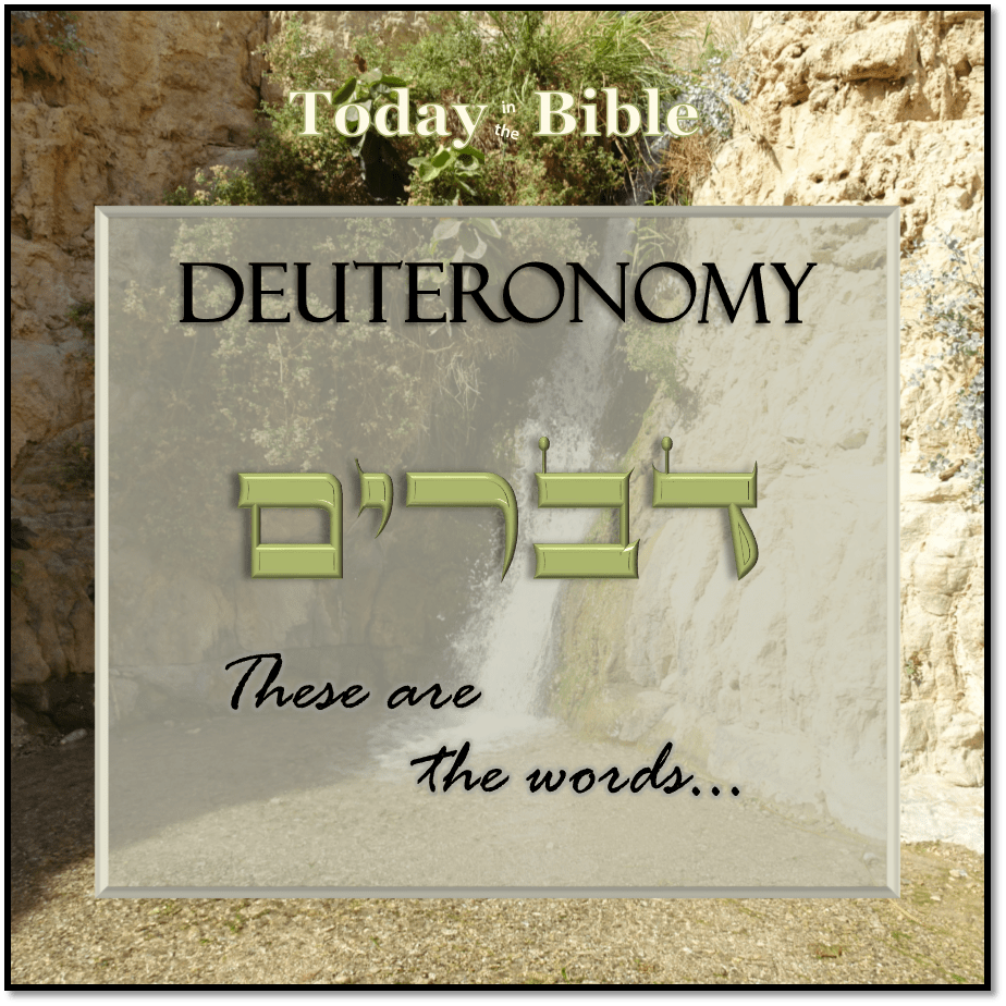 Shevat 27 – Offer pure sacrifices; administer pure&nbsp;justice…