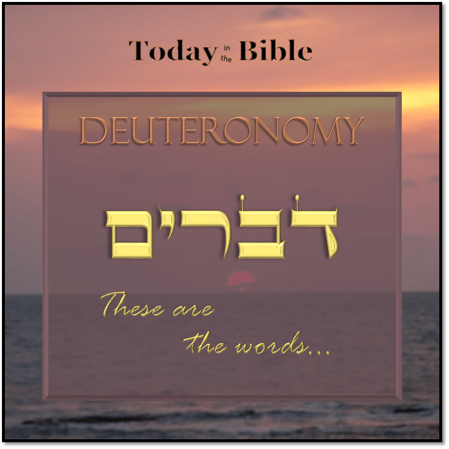 Shevat 28 – When you come into the Land and say, “I will set a king over&nbsp;me…”