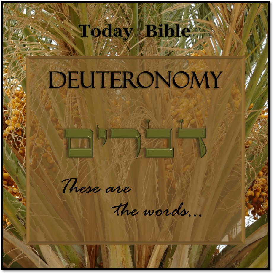 Shevat 16 – A land flowing with milk and&nbsp;honey…