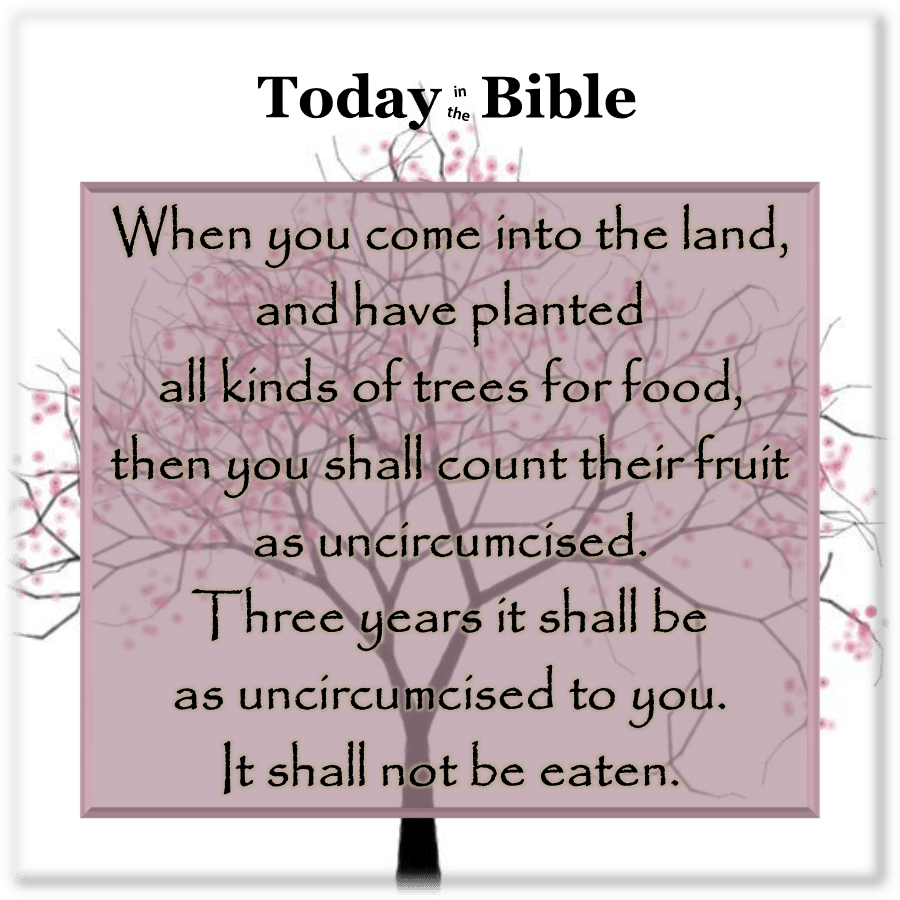 Shevt 15 – Tu B’Shevat…