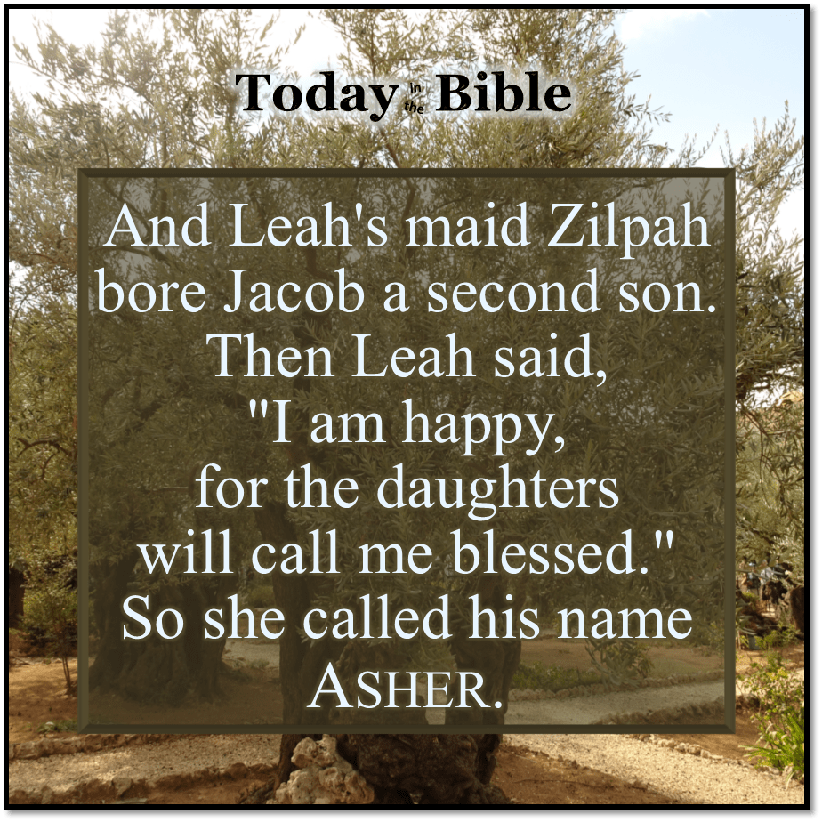 Shevat 20 – And she called his name&nbsp;Asher…