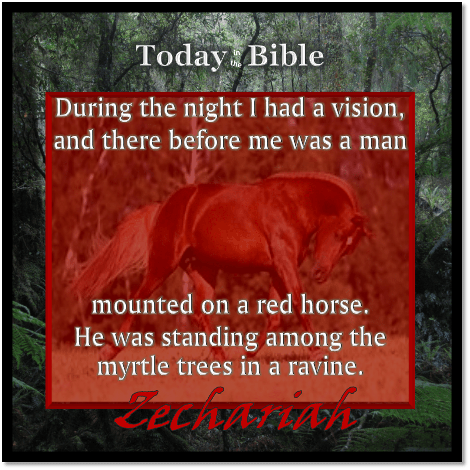 Shevat 24 – I had a vision and before me was a man mounted on a red horse, standing among the myrtle&nbsp;trees…