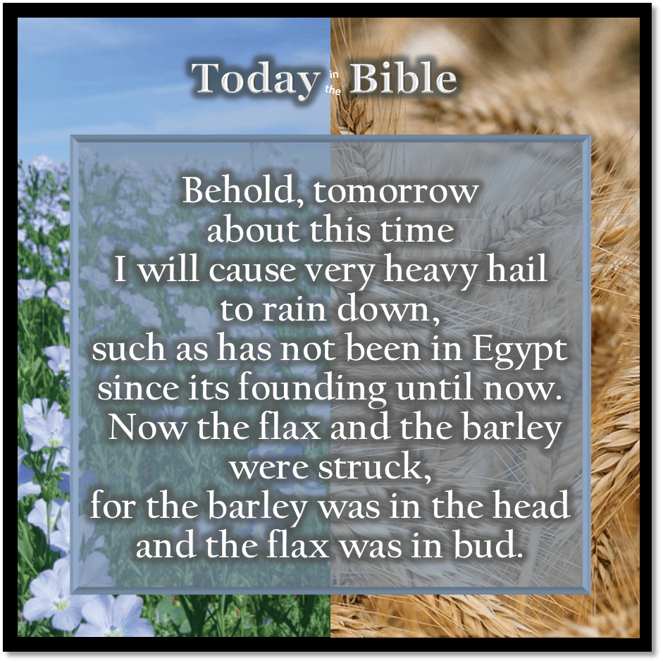 Shevat 17 – Hail. Hail.&nbsp;Hail.