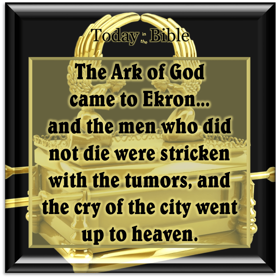 Tevet 25 – And the cry of the city went up to&nbsp;heaven…