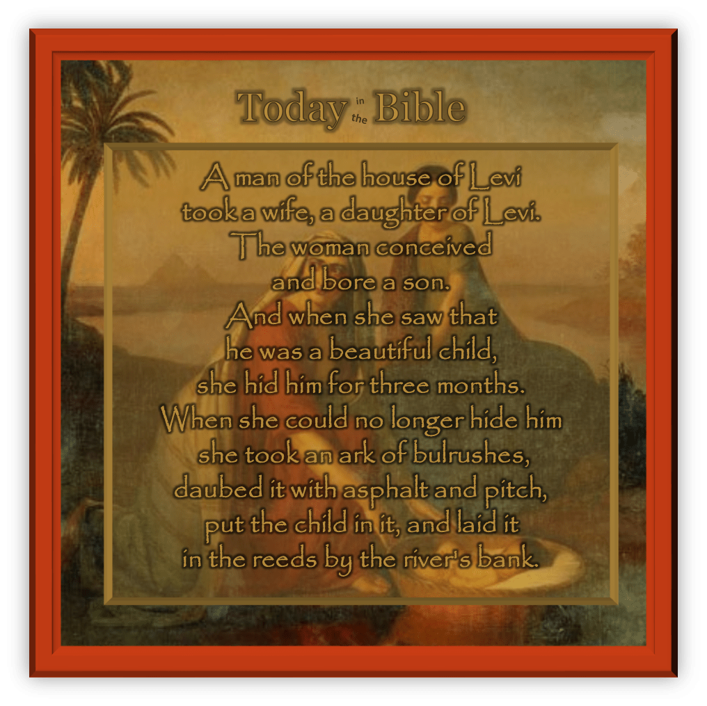 Adar 7 – The woman conceived and bore a&nbsp;son…