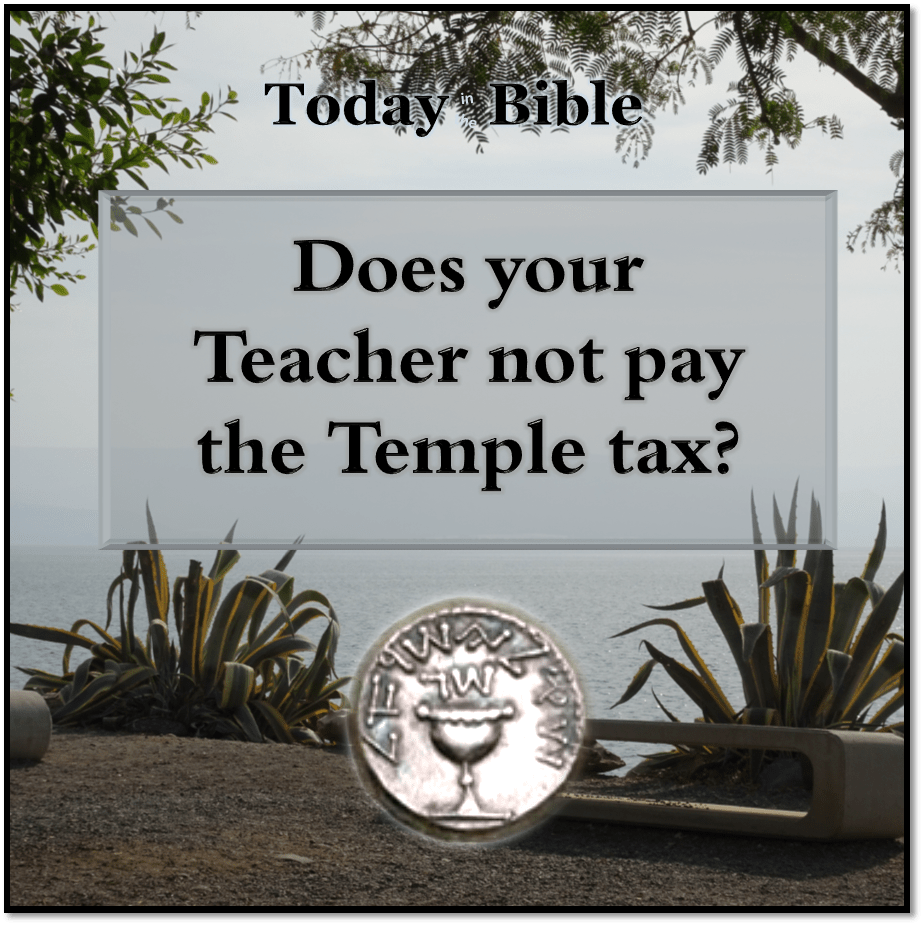 Adar 1 – Does your Teacher not pay the Temple&nbsp;tax?