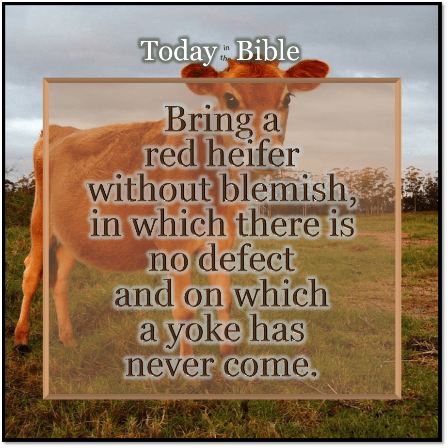 Nisan 2 – Red&nbsp;Heifer