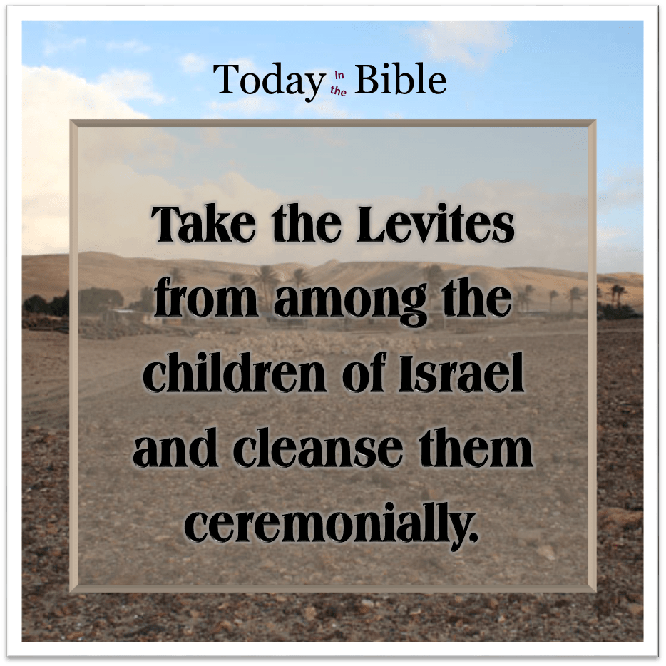 Nisan 3 – Take the Levites and cleanse&nbsp;them…