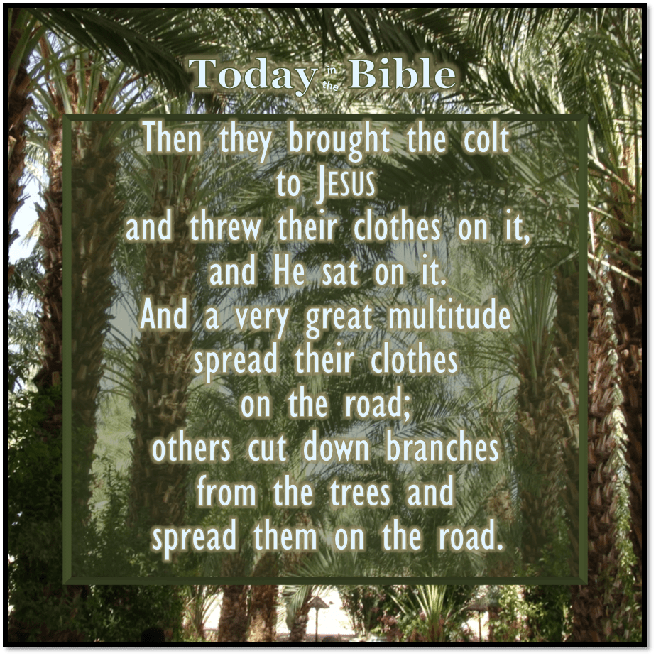 Nisan 10 – Your King is coming to you, lowly, and sitting on a&nbsp;donkey…