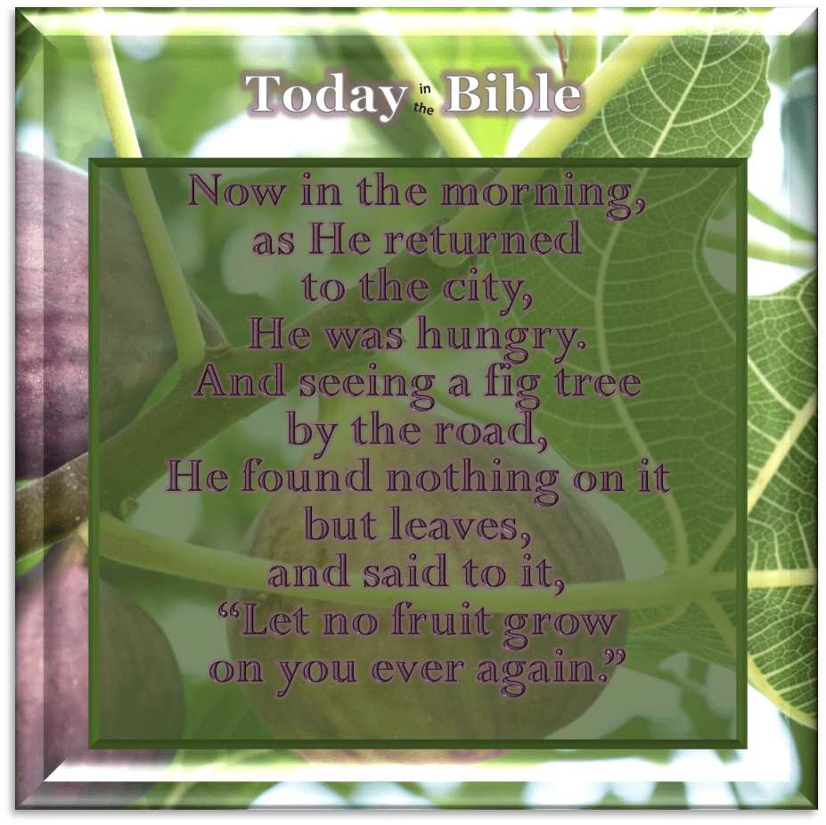 Nisan 11 – And seeing a fig tree by the road, He found no&nbsp;fruit…