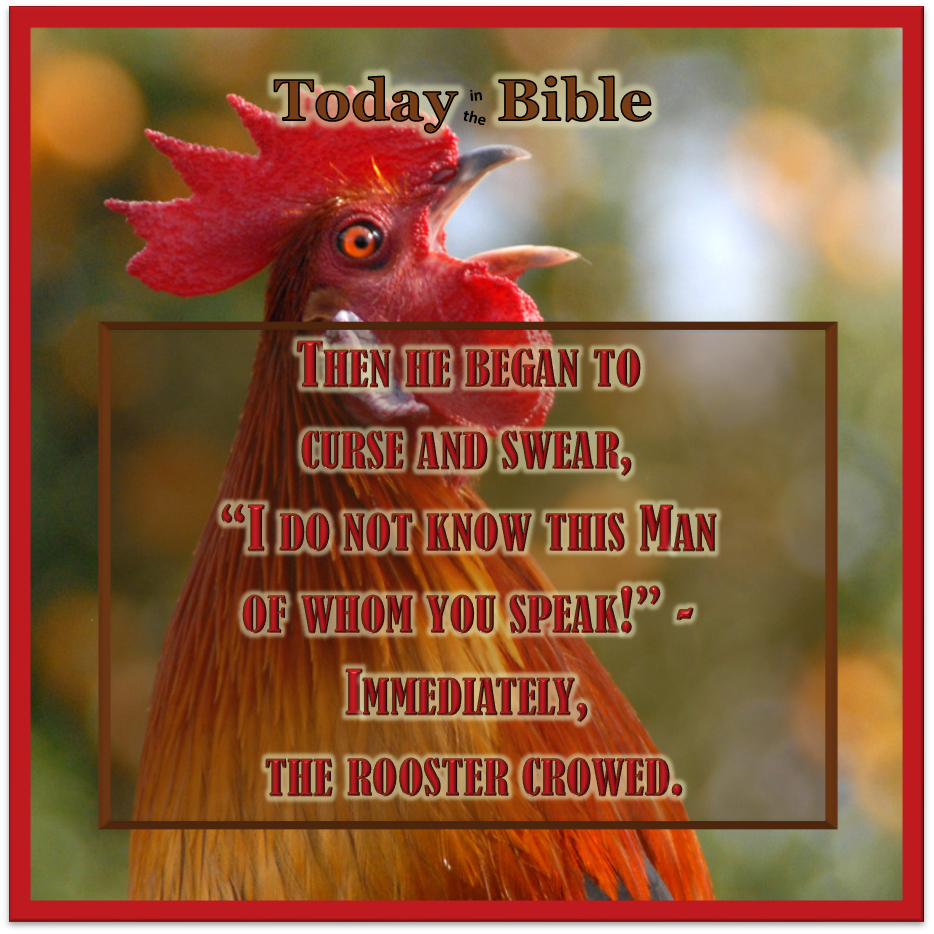 Nisan 14 – The Rooster&nbsp;Crowed