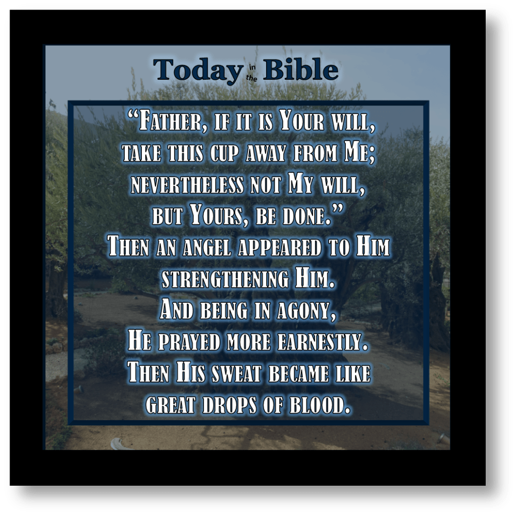 Nisan 14 – Not My will but Yours be&nbsp;done…