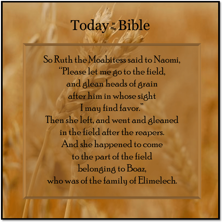 Iyyar 5 – Please let me glean heads of&nbsp;grain