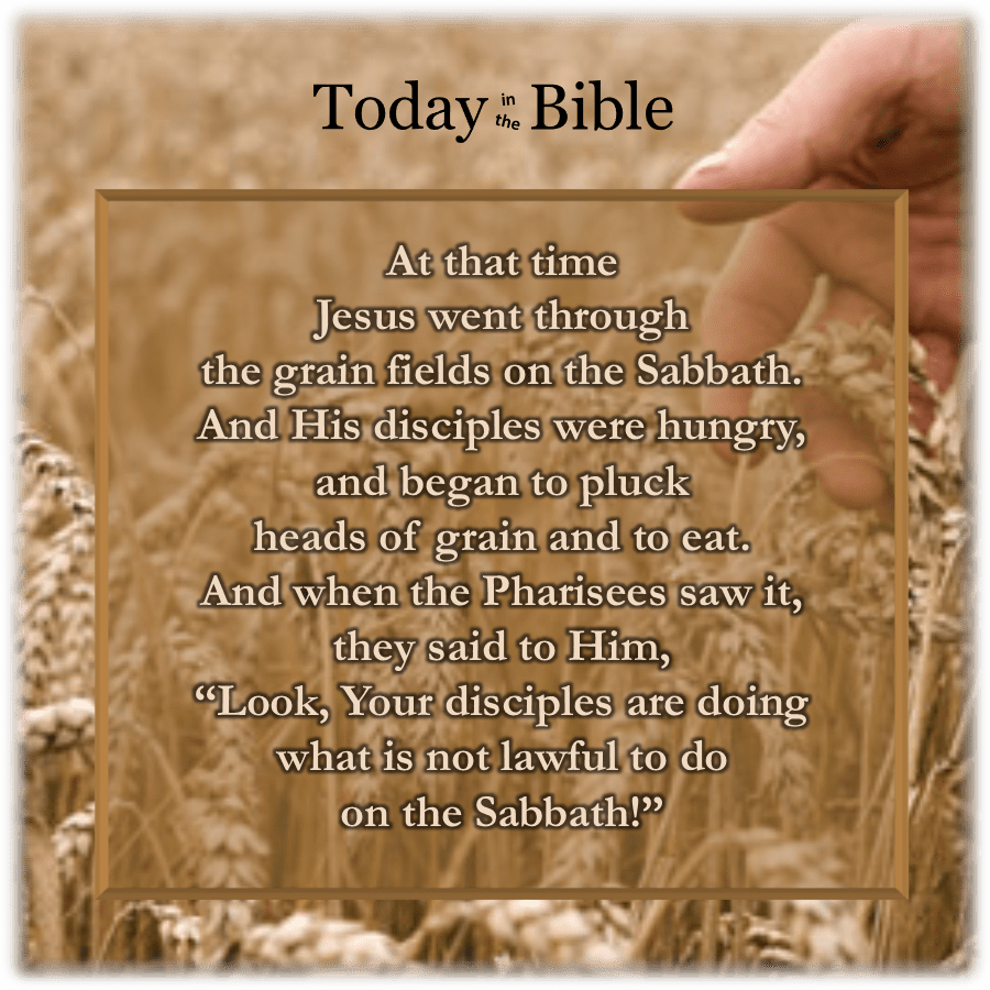 Iyyar 11 – It is lawful to do good on the&nbsp;Sabbath