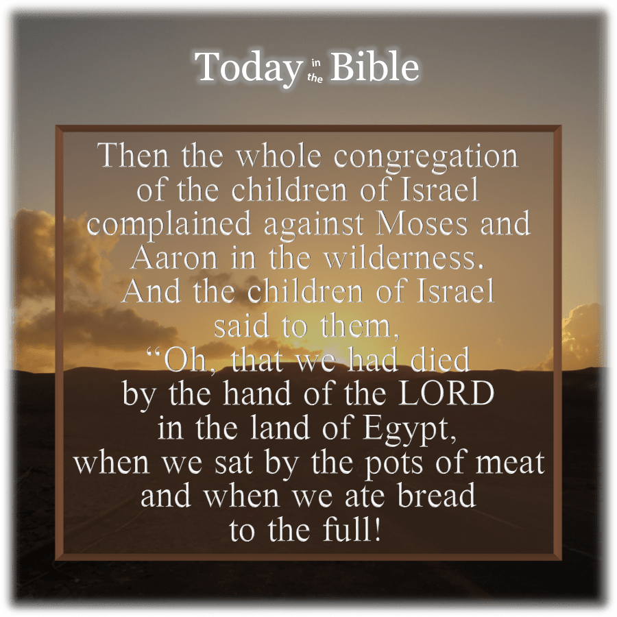 Iyyar 15 –&nbsp;Complaints