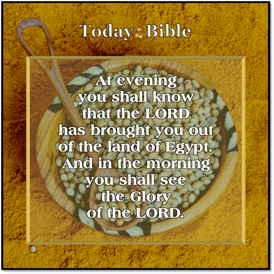 Iyyar 16 –&nbsp;Manna