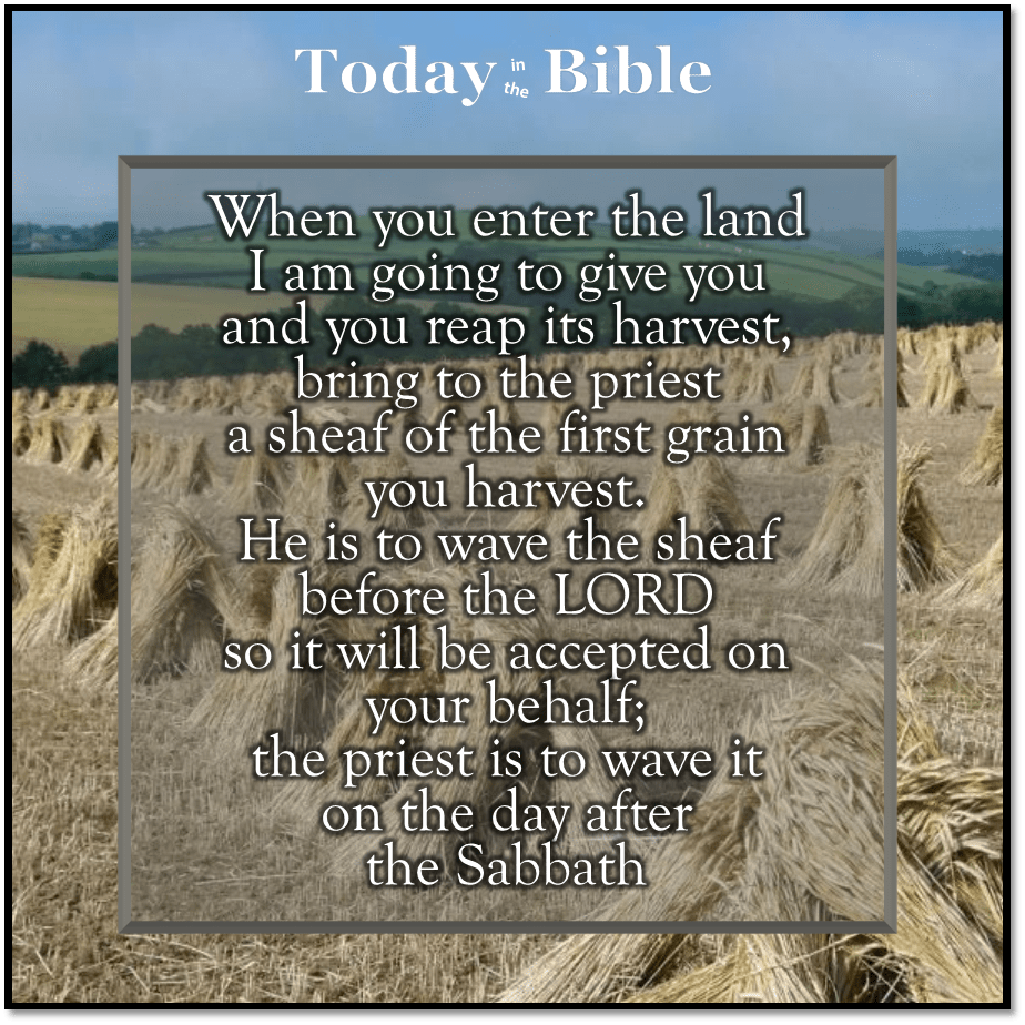 Nisan 16 –&nbsp;Firstfruits