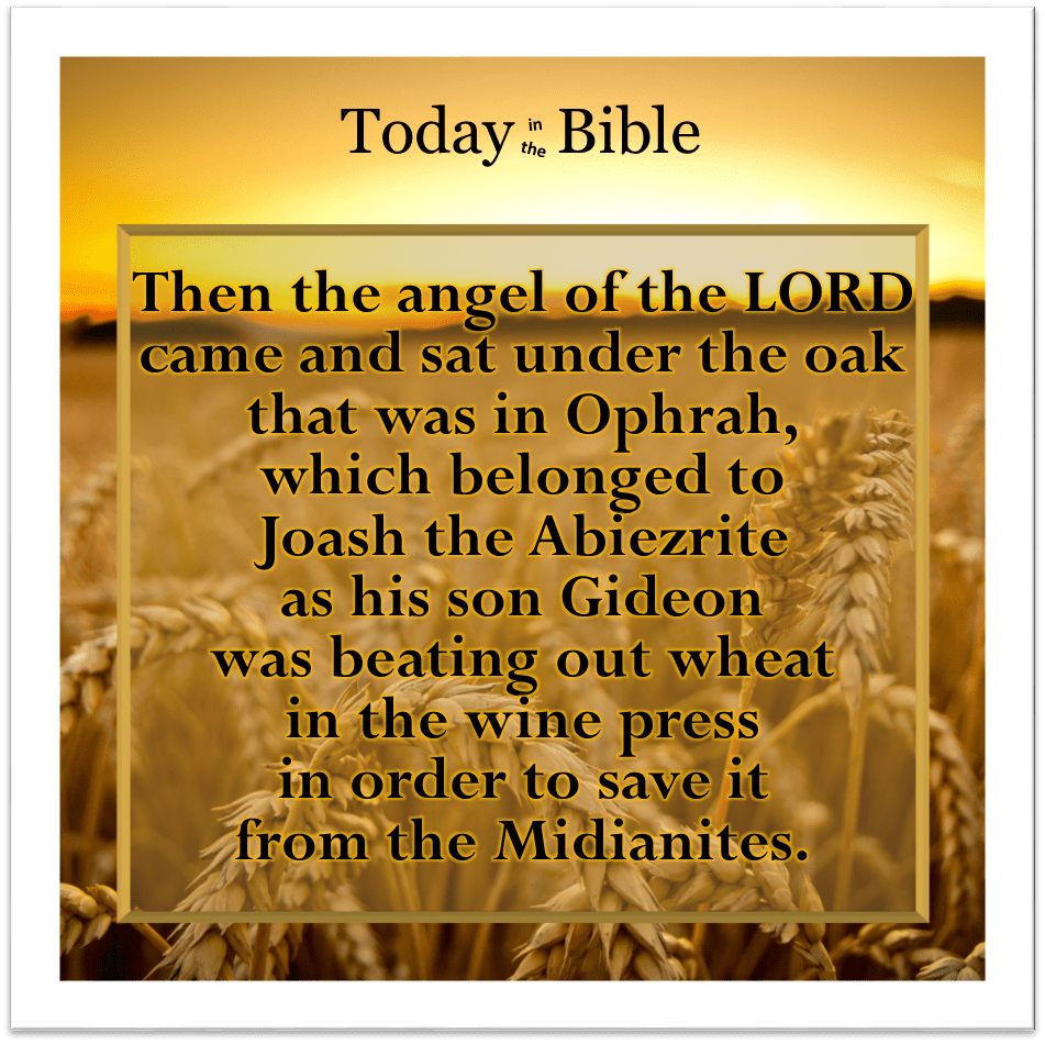 Sivan 11 – Then the angel of the LORD came and sat under the oak that was in&nbsp;Ophrah…