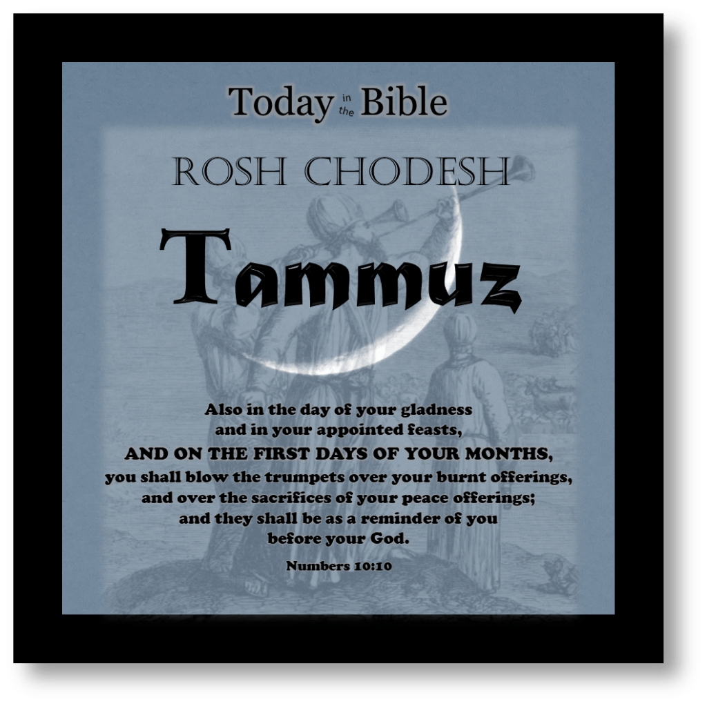 4th Month –&nbsp;Tammuz