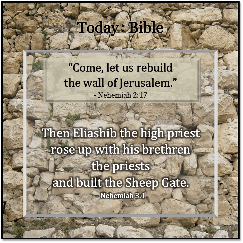 Av 4 – Eliashib the High&nbsp;Priest