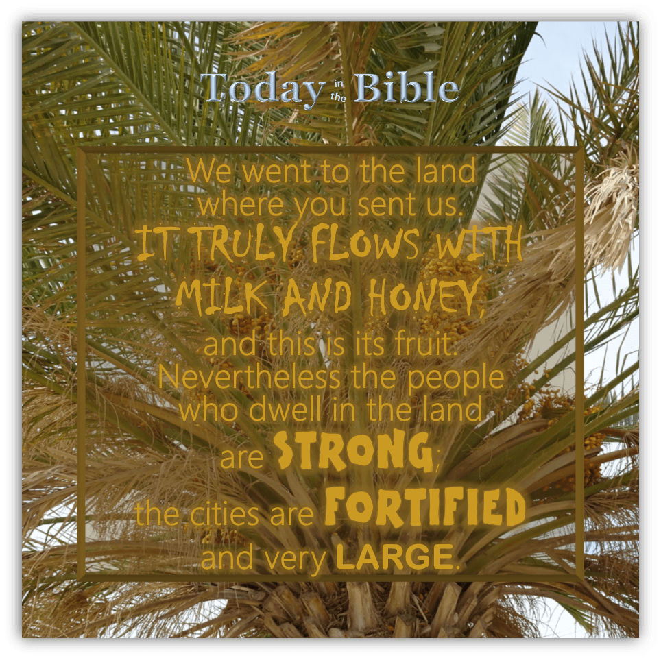 Av 8 – It Truly Flows with Milk and&nbsp;Honey