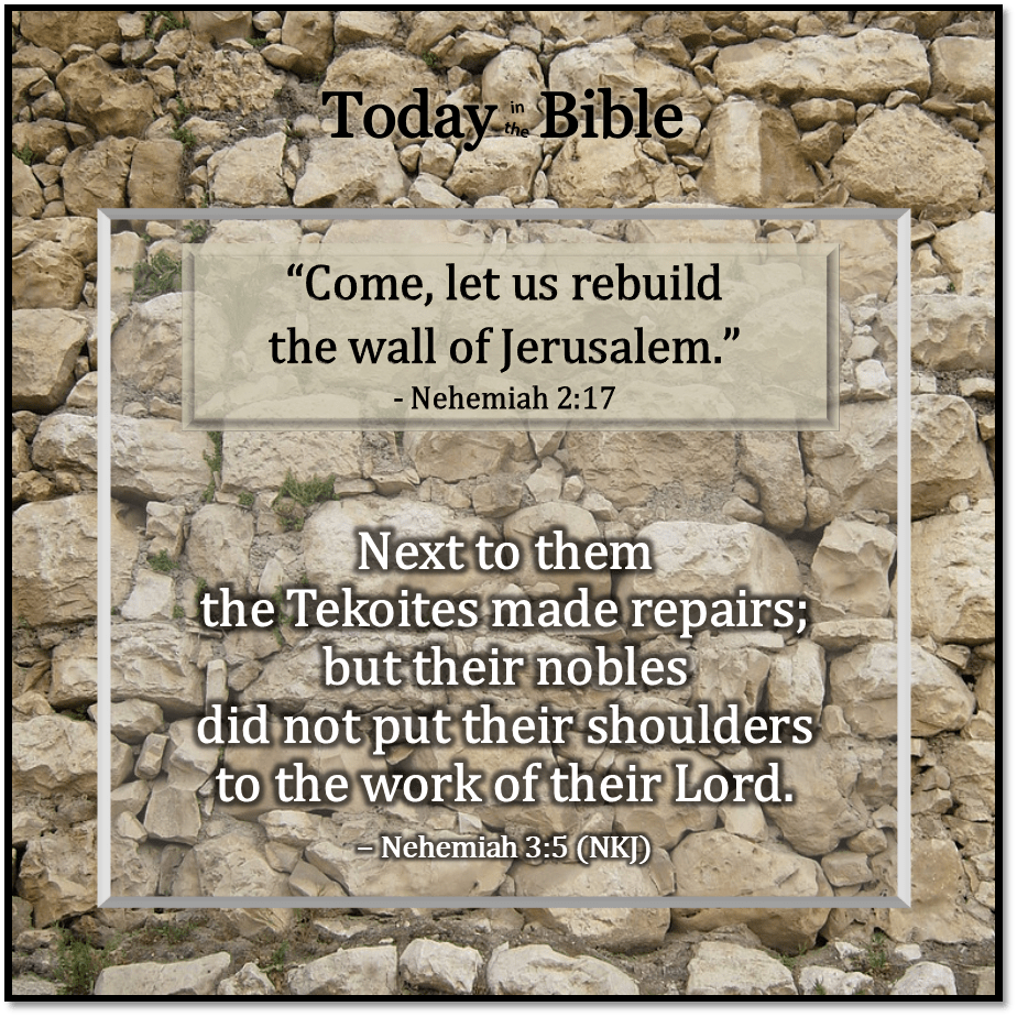 Av 11 – Next to Them the Tekoites Made&nbsp;Repairs