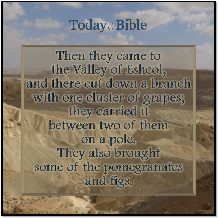 Tammuz 19 – The Fruit of the&nbsp;Land