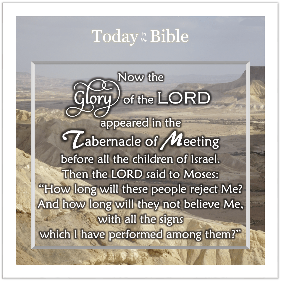 Av 9 – Let Us Select a Leader and Return to Egypt