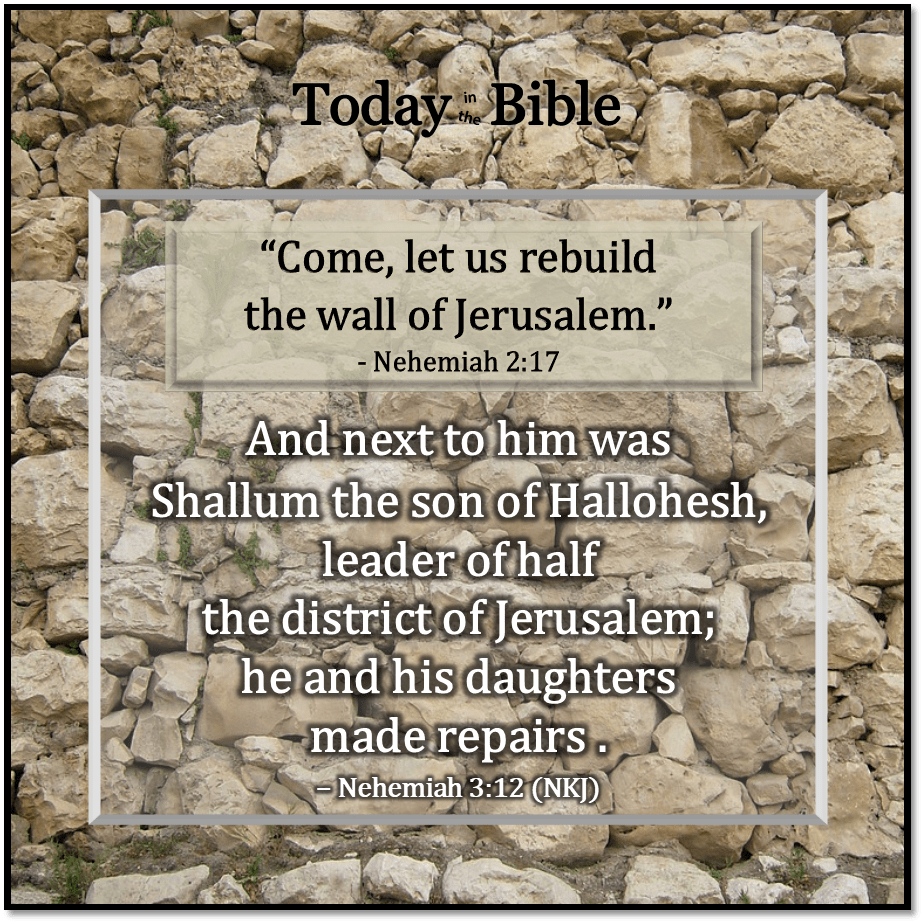 Av 19 – Shallum and His&nbsp;Daughters