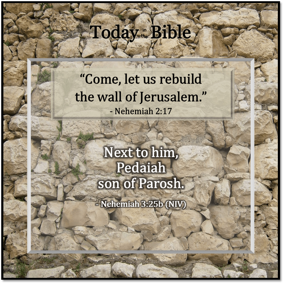 Elul 5 – Pedaiah son of&nbsp;Parosh