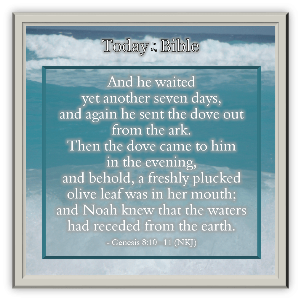 Elul 23 – Behold, a Freshly Plucked Olive Leaf was in Her&nbsp;Mouth