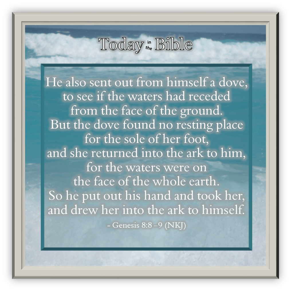 Elul 17 – He Also Sent Out a&nbsp;Dove