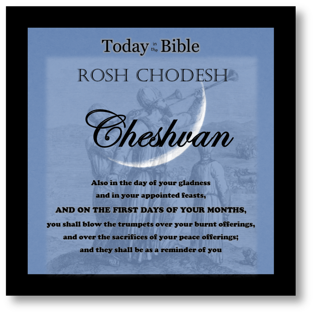 8th Month –&nbsp;Cheshvan