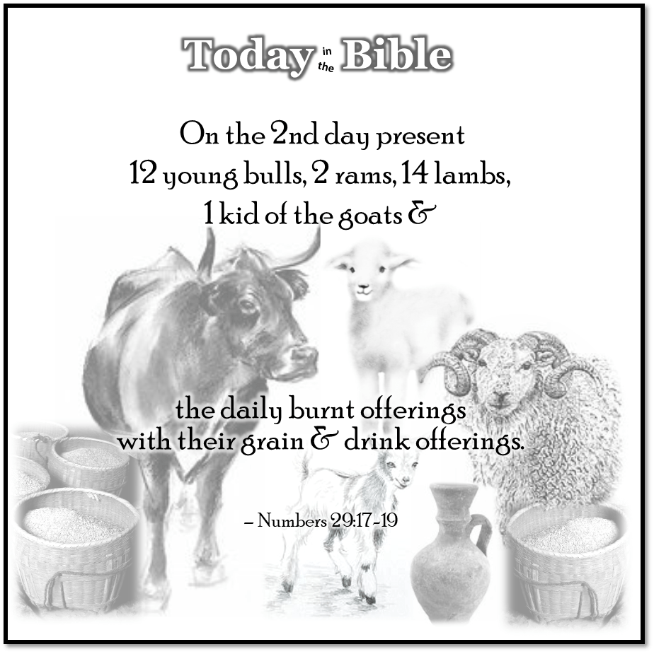 Tishrei 16 – Sukkot, Day 2 – The&nbsp;Offerings