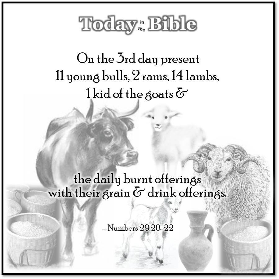 Tishrei 17 – Sukkot, Day 3 – The&nbsp;Offerings